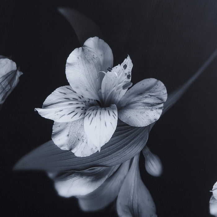 Black & White Flowers - Glass Float