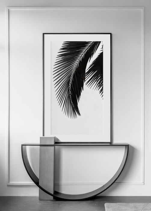Black & White Palm Leaf