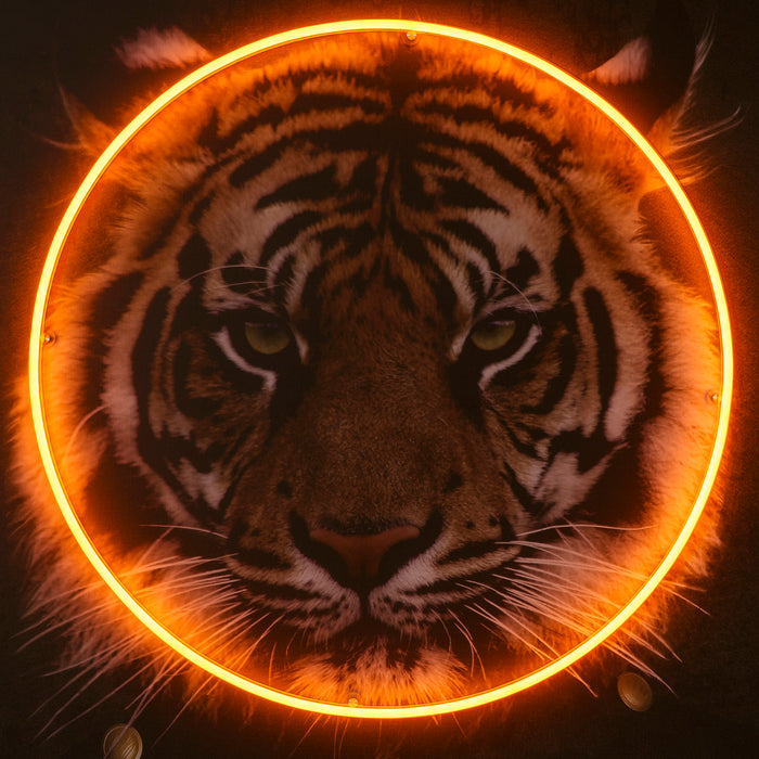Tiger Portrait - LED Neon